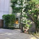 디오크(The oak) 이미지