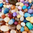 보석이네 이미지