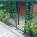 꽃보다 강쥐 이미지