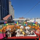 부산진유치원 이미지