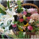 파리바게트 (익산부송하나점) 이미지