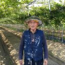 가람농원 이미지