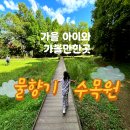 [성인] 세계사 | 가을 아이와 가볼만한 곳 나들이 피크닉 추천 물향기수목원(입장료,주차 포함,내돈내산후기)