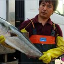 어심바다낚시터 이미지