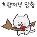 충성횟집