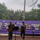숲민박 | [진도 여행] 운림산방 도보 30초 숙소 '운림민박' &amp; 숲속 힐링 '운림산림욕장' 대만족 후기 🌲