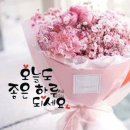 행복한 하루 이미지
