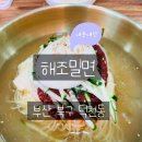 해조 | 부산 북구 밀면 맛집 김해조 사장님의 해조밀면 방문 후기