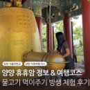 천수천안자비나눔의집 | 휴휴암 카페 시간 주차 꿀팁 물고기 방생 가족여행추천