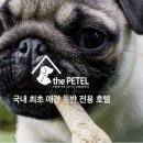 클라우드 펫 호텔 이미지