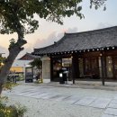 보쇼 | 경주 료미 후기 토리냉소바 드셔보쇼