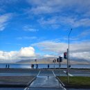 (사)희망의언덕 | 변덕 속에서 여유 찾기