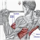 광장사우나 이미지