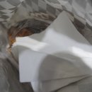 리미니 2001 분당점 이미지