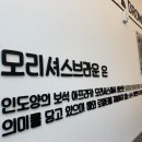 모리셔스브라운영종점