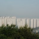 정왕태양광발전소 이미지