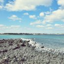 제주공항렌트카 이미지