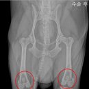 청송동물병원 이미지