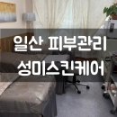 성미의집 | 일산 피부관리 성미스킨케어 AHA 필링으로 피부 결·블랙헤드 개선한 솔직 후기