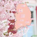 벚꽃 - 부평구 마장로324번길 78 | 벚꽃