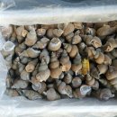 ㈜한국스치로폴 이미지