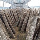 이형우농장 이미지