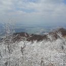 에스엠컨설팅 이미지