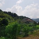 단월우체국 이미지