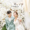 스튜디오까멜리아