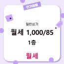 85공인중개사사무소 | 유량동 일반상가 월세 1,000/85 장군공인중개사사무소