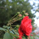 우장산동 이미지