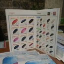 (주)유앤지 이미지