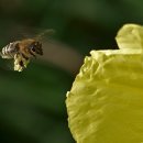 영어와 Craft 이미지