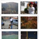 하늘밭농원 이미지