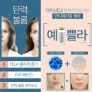 샤테라피 이미지