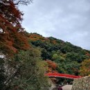 오사카18 - 미노코엔 단풍과자를 먹고 만박기념공원에! 이미지