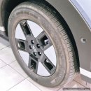 타이어마스타울산총판 | 울산 손세차 디테일링 가격 추천 커스텀가든