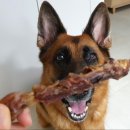 뚱띠레이 이미지