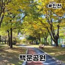 백운공원(부평아트센터 옆) | 백운공원 인천 부평 러닝 트랙 물놀이터