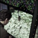 뽑아가세용 이미지