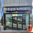대전 파충류샵 뉴런렙스타 청주 파충류샵 뉴런렙타일 청주복대점 방문 후기