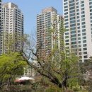 황금(반포래미안점)공인중개사사무소 매일경제