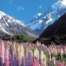 퀸스타운 이미지