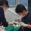 천호역 임플란트, 실력있는 곳은 이것이 다릅니다.