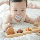 주영기초소재㈜ | 7개월 아기 성장발달 맞춤 아기장난감 원목교구 숲소리 꼭지퍼즐세트