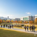 알고리즘 이해와 스크래치 코딩 | 제7회 2025 전국 중학생 알고리즘 경진대회 예선 후기