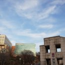 서강대학교 메리홀 네이버블로그
