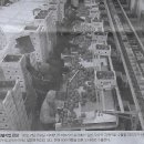 구제나라 이미지