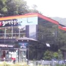 둥지칼국수