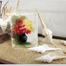 세계조가비박물관 이미지